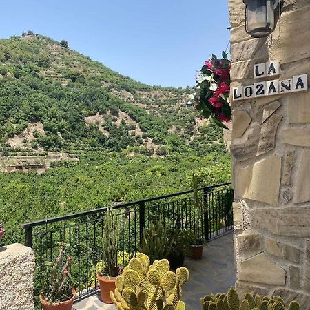 La Lozana - Rio Verde Jete Dış mekan fotoğraf
