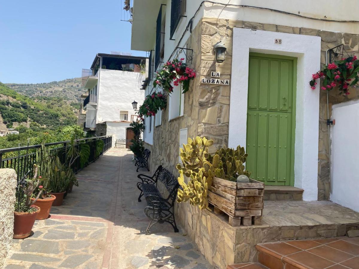 La Lozana - Rio Verde Jete Dış mekan fotoğraf