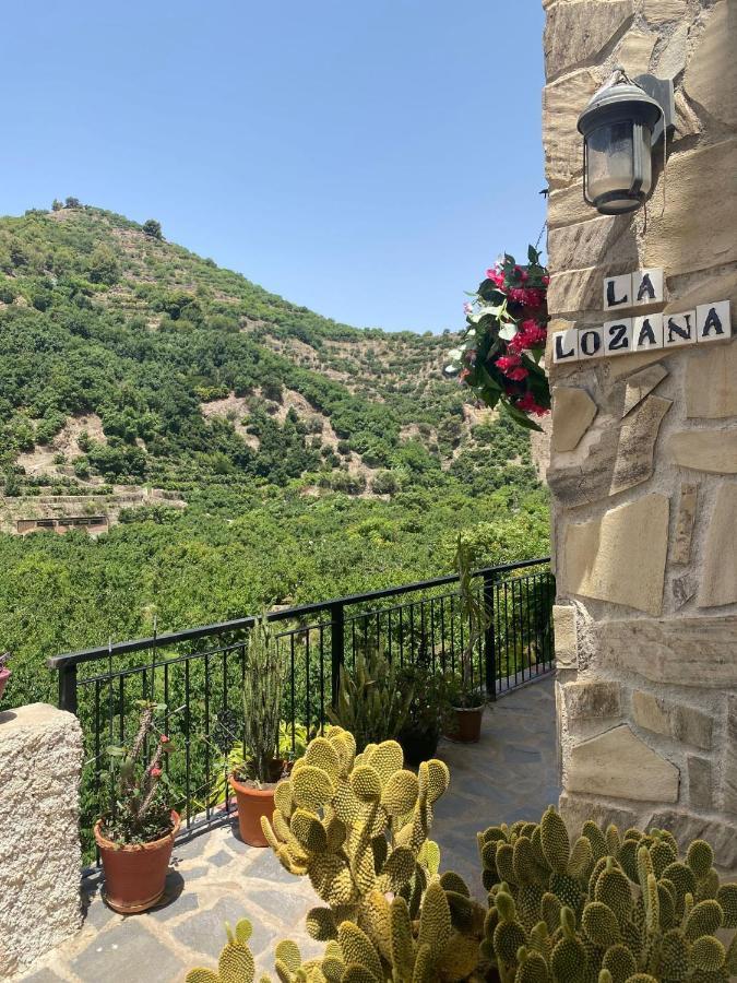 La Lozana - Rio Verde Jete Dış mekan fotoğraf