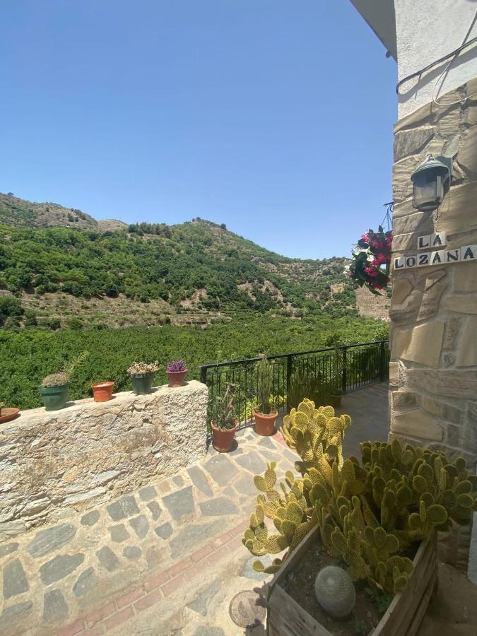 La Lozana - Rio Verde Jete Dış mekan fotoğraf